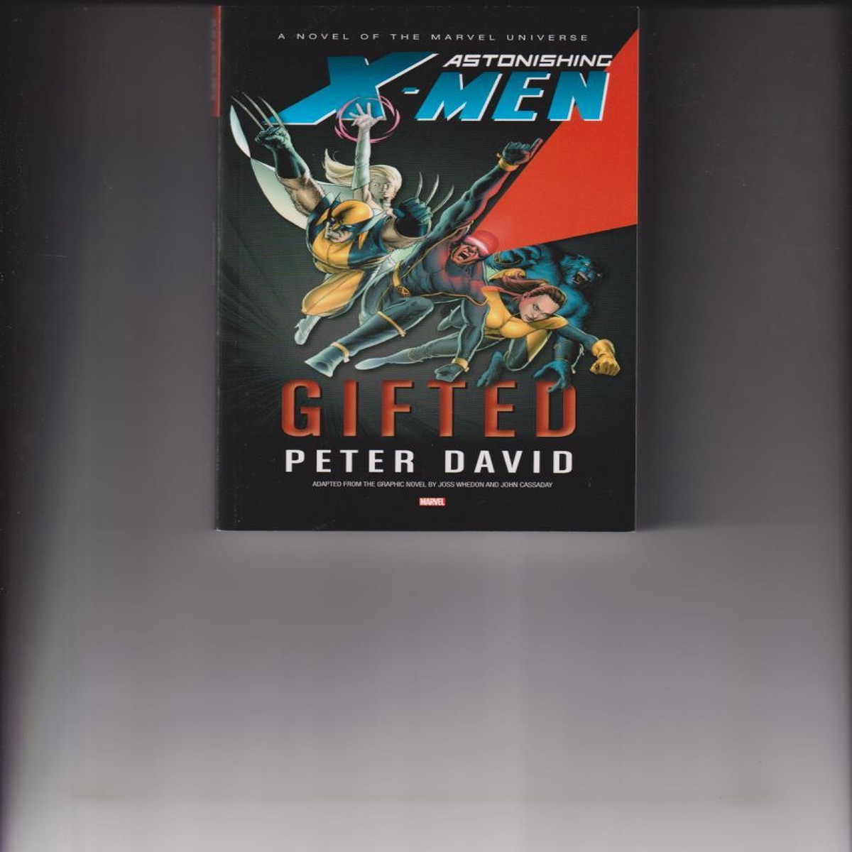 ASTONISHING X-MEN GIFTED PROSE NOVEL MASS MARKET TP “NEW UNREAD”