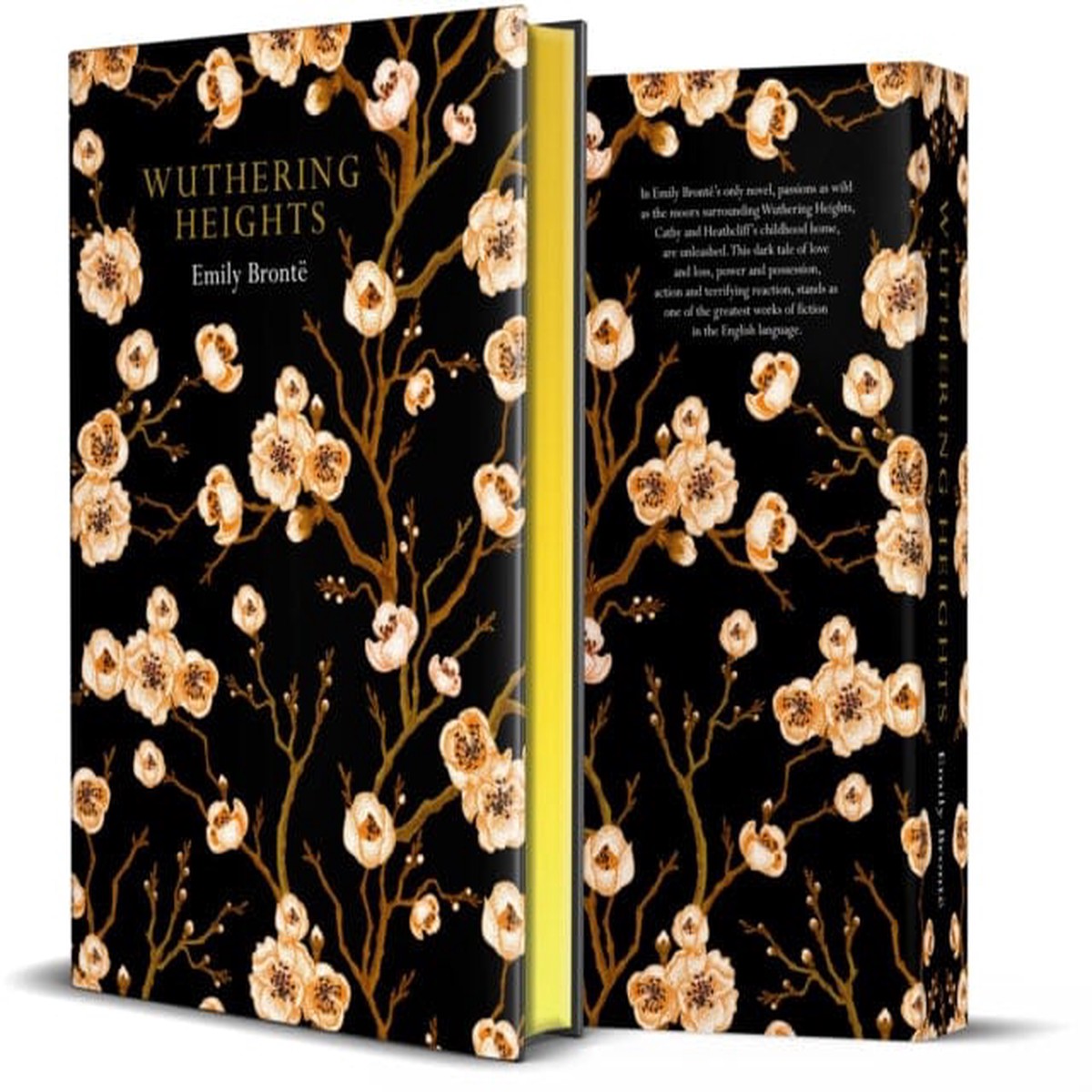 Wuthering Heights: Chiltern Edition by Emily Bronte