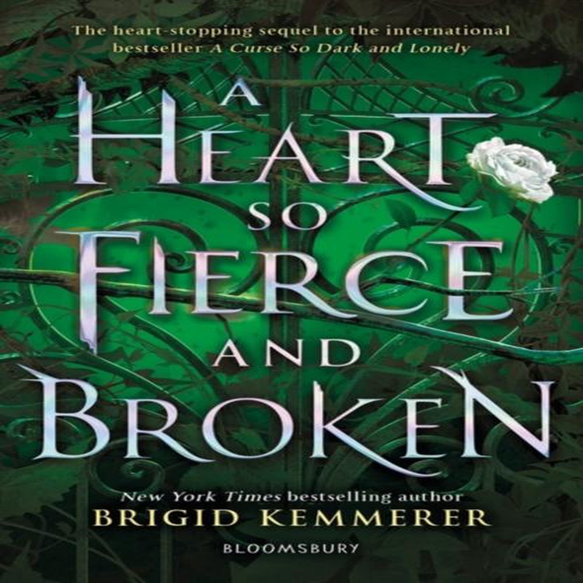 A Heart So Fierce and Broken
