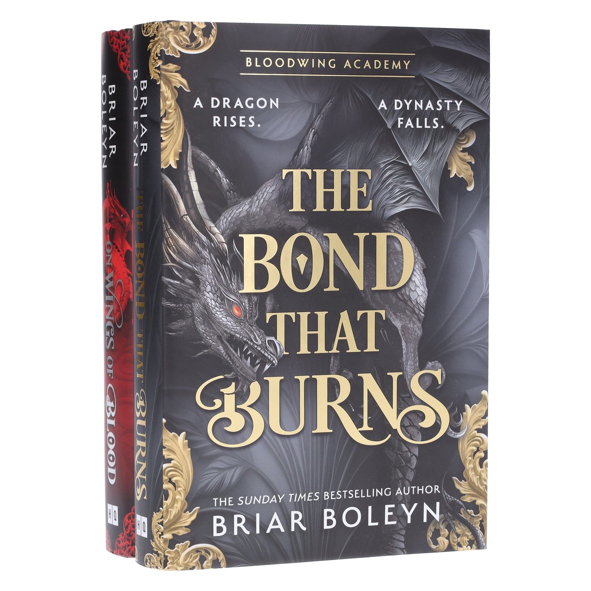 Bloodwing Academy Series by Briar Boleyn 2 Books Collection Set - Fiction - Hardback