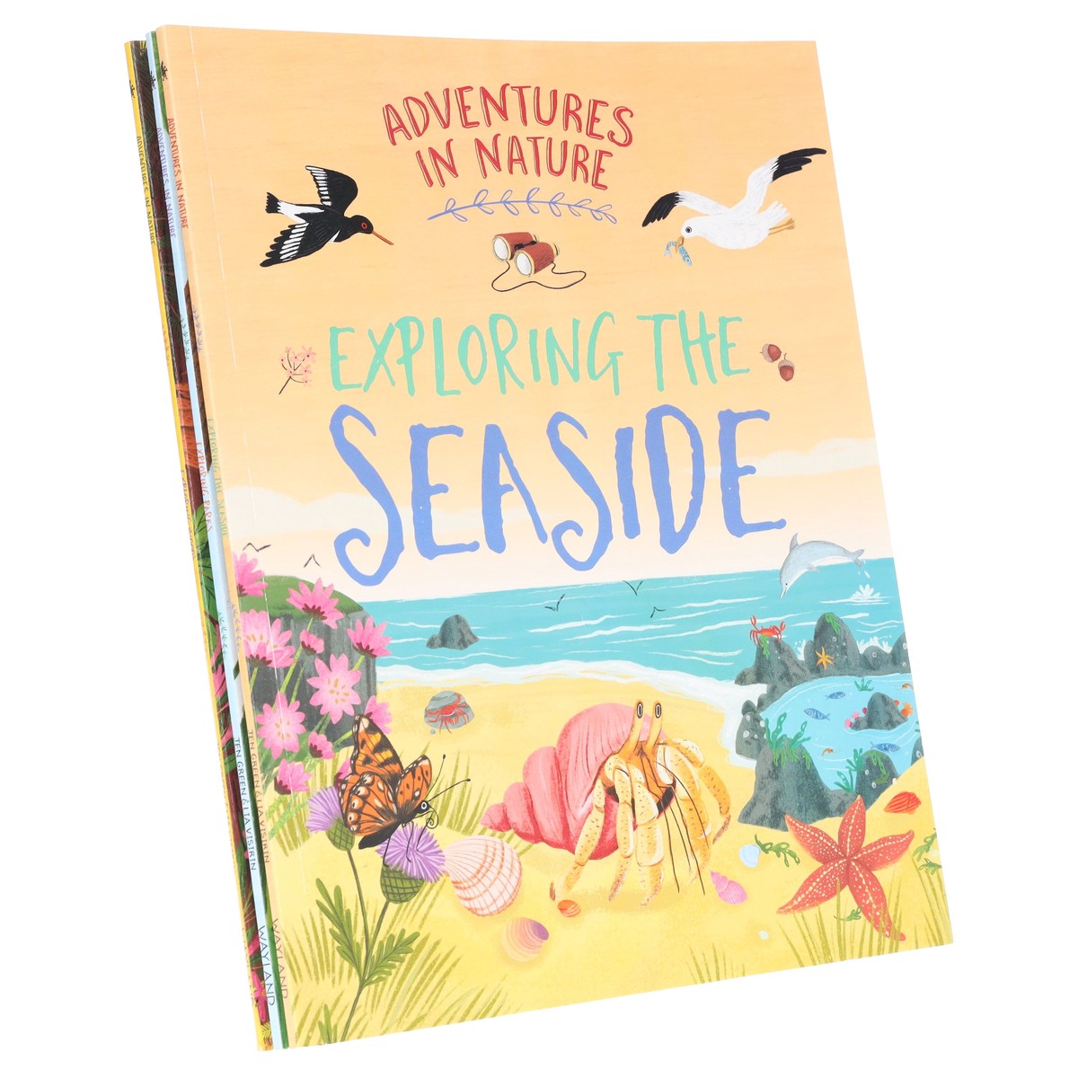 Adventures in Nature Series by Jen Green Illustrated 3 Picture Books Collection Set – Ages 7+ – Paperback