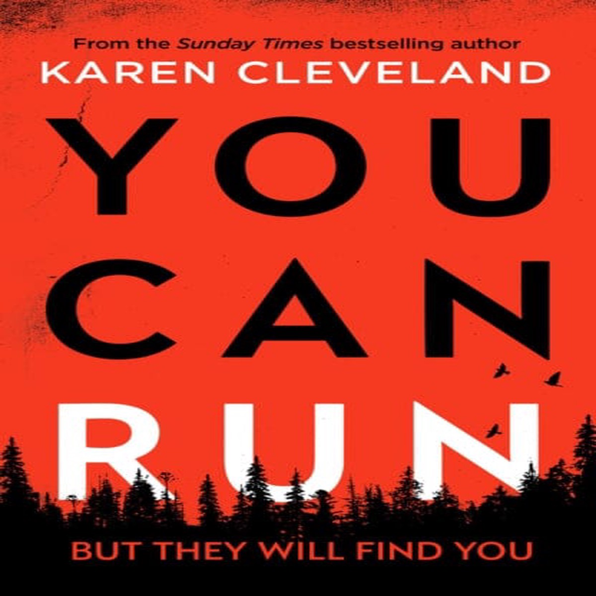 You Can Run by Karen Cleveland